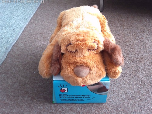 Snuggle puppy heartbeat - puppy, plush