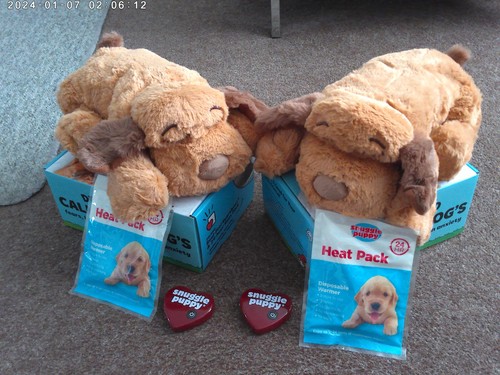 Set brown snuggle puppy - of,