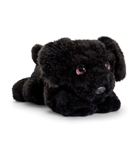 Keel signature cuddle puppy - cuddle,