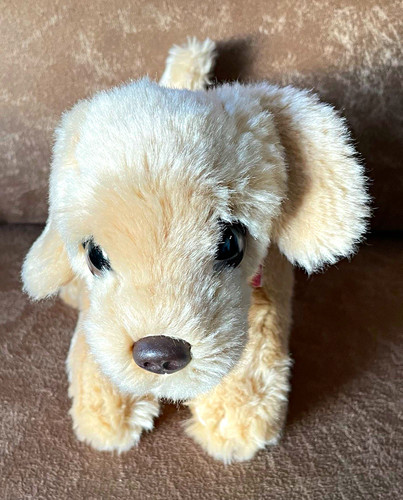 Keel toys cuddle puppies plush - toys,